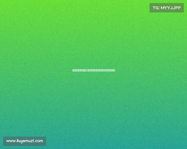 韩寒赛车电影叫什么,《键盘上的极速传说：韩寒的电竞飞驰》